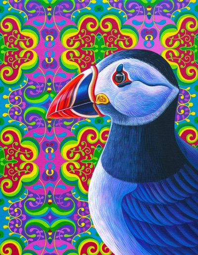 Papegaaiduiker, 2018 door Jane Tattersfield